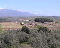 Vista panorámica de la casa rural Viña Grande.