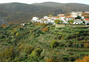 Barrado. Situado en un pequeño valle entre el Valle del Jerte y la comarca de la Vera