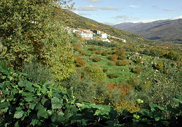 El Rebollar, en la ladera Oeste del Valle del Jerte