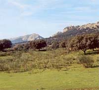 Panorámica del parque, turismo rural en Cáceres. Extremadura.
